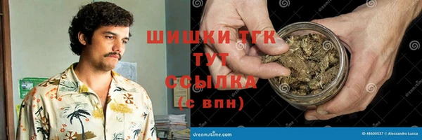 индика Балабаново