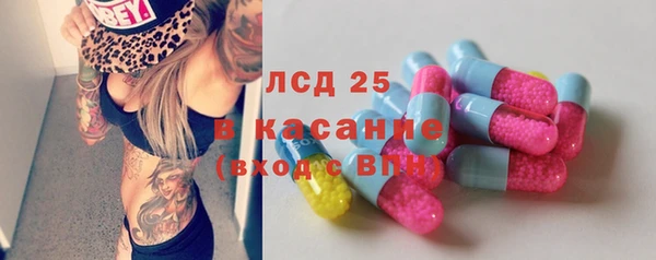 spice Пересвет