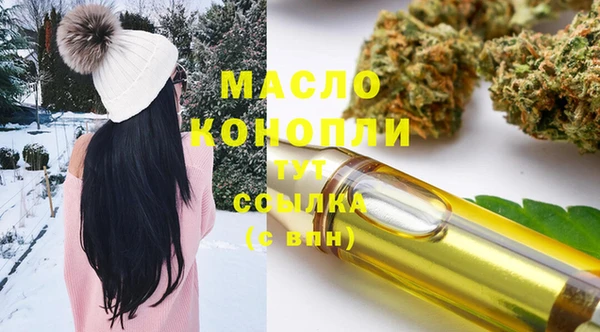 индика Балабаново