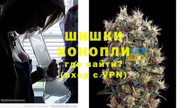 индика Балабаново