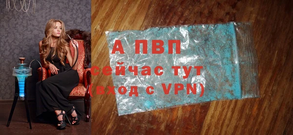индика Балабаново