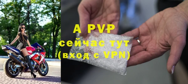 индика Балабаново
