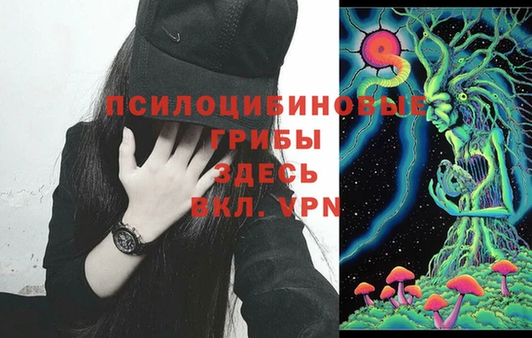 индика Балабаново