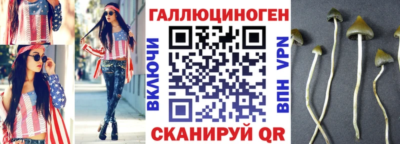OMG как зайти  Щёкино  Галлюциногенные грибы Cubensis 