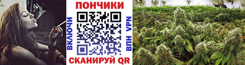 Каннабис Bruce Banner  МЕГА вход  Щёкино 
